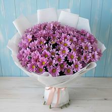 Букет цветов из:  Хризантемы #REPLACE_PRED# Родино
