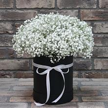 Цветочная композиция из Гипсофила в шляпной коробке в Родино