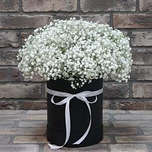 Цветочная композиция из Гипсофила в шляпной коробке в Родино