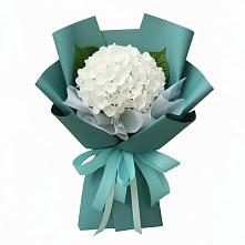 Букет цветов из:  Гортензия #REPLACE_PRED# Родино
